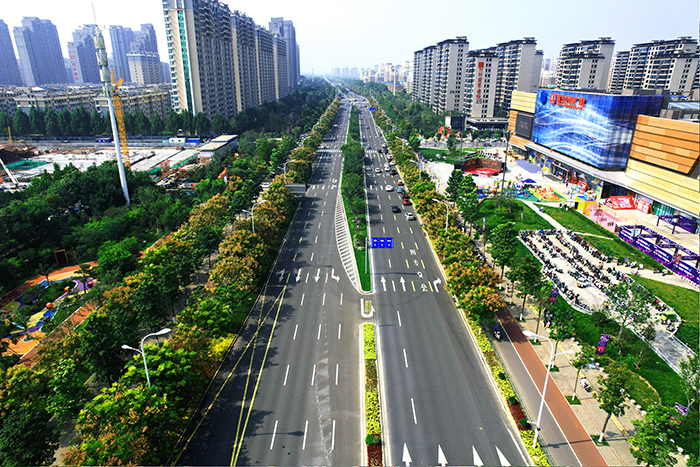中润大道绿化项目